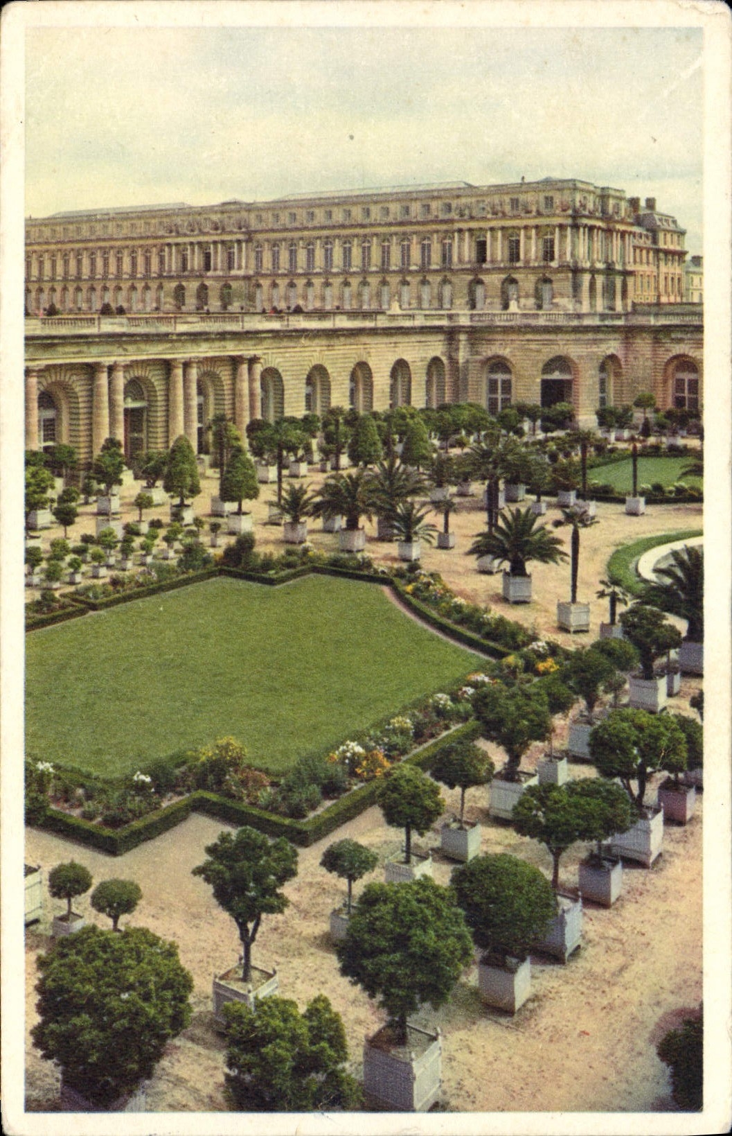 CPA Chateau De Versailles L'Orangerie