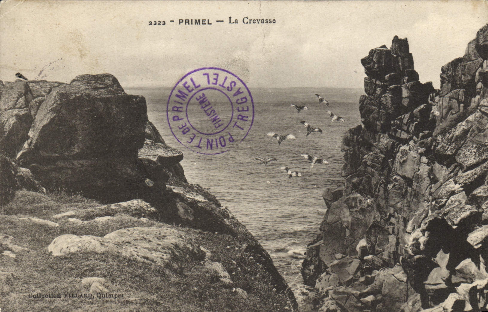 VINTAGE POSTCARD Primel the Crack