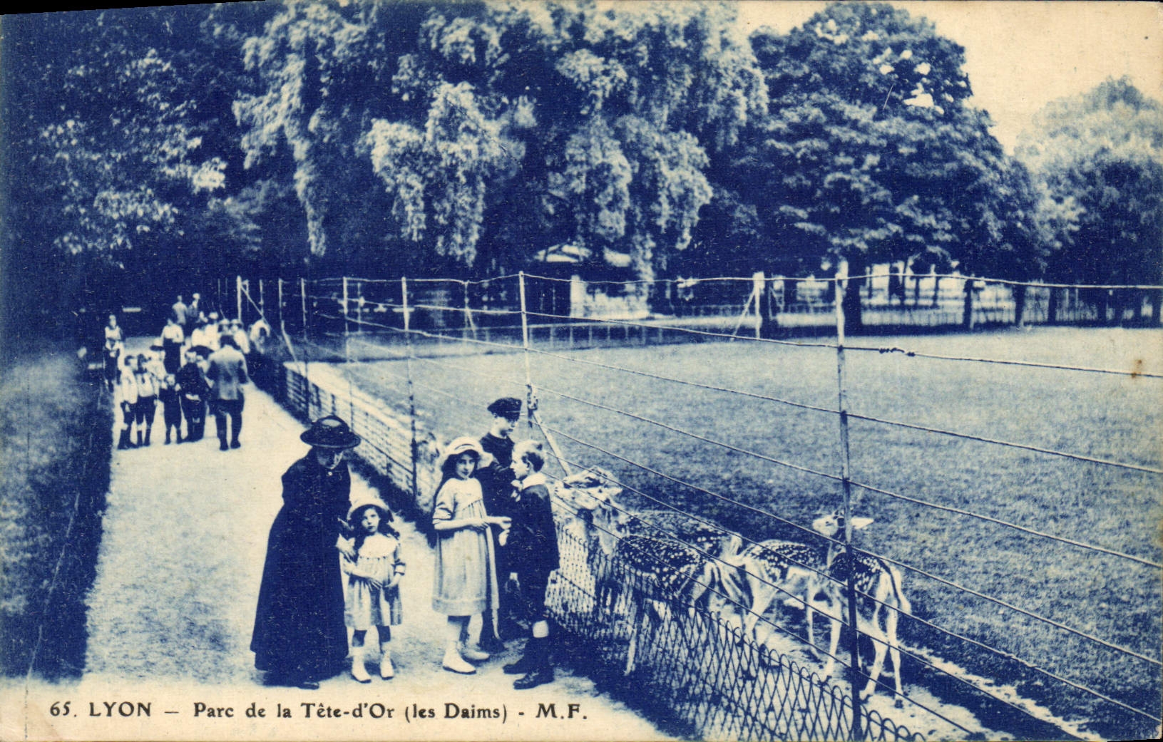 VINTAGE POSTCARD Lyon Park of the Gold Hinds Head