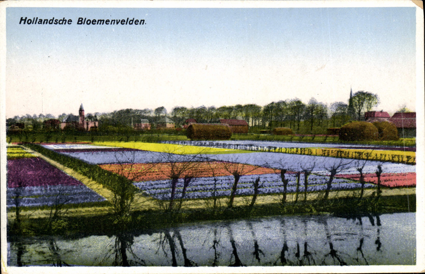 VINTAGE POSTCARD Hollandsche Bloemenvelden