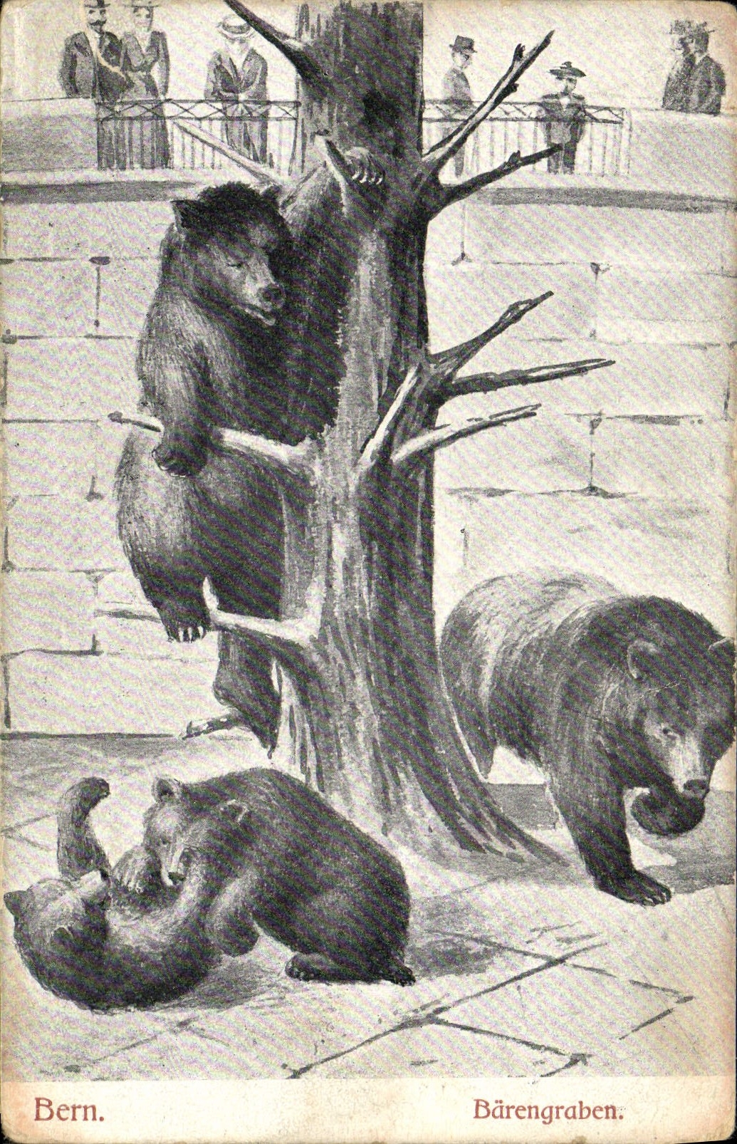 VINTAGE POSTCARD Bern Barengraben Bear