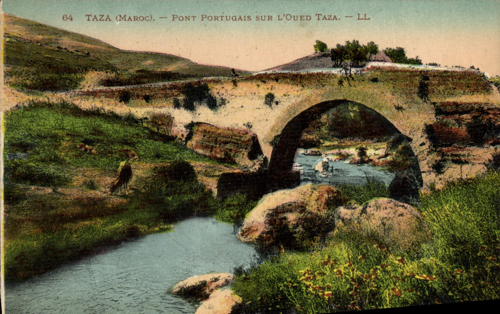 CPA Taza Maroc Pont Portugais Sur L'Oued Taza