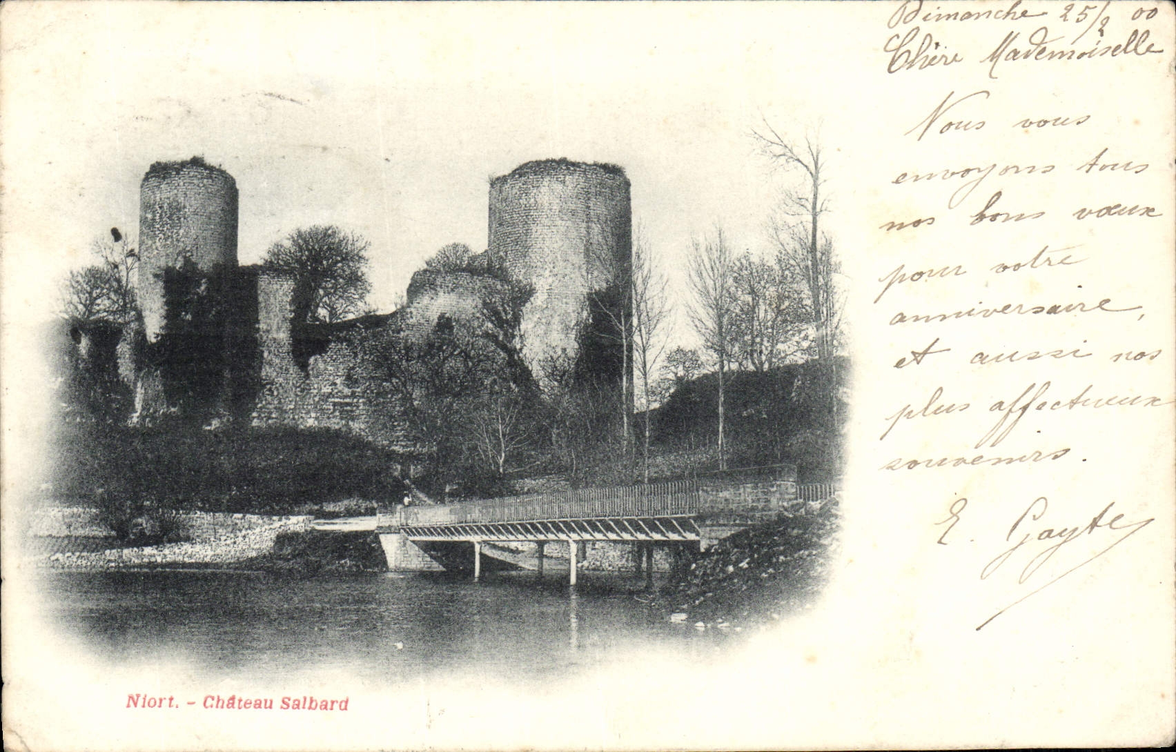 VINTAGE POSTCARD Niort Salbard Castle