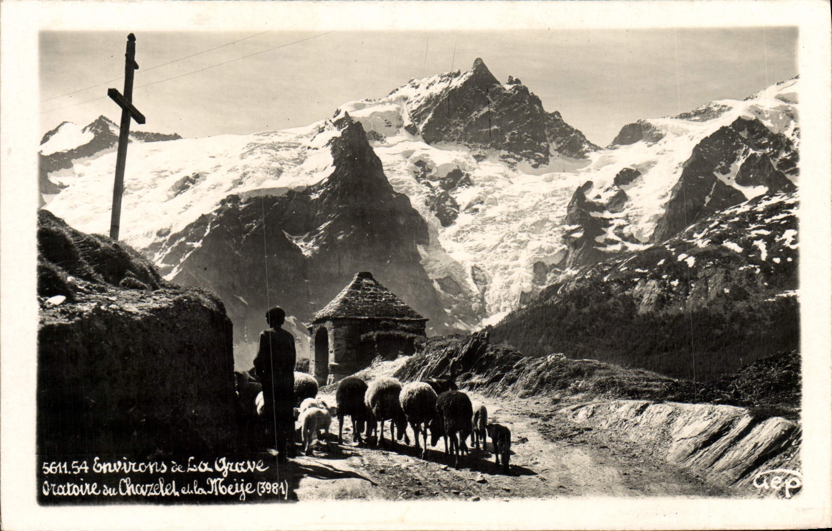 MODERN CARD Surroundings of Serious Chazelet and Meije Shepherd Sheep