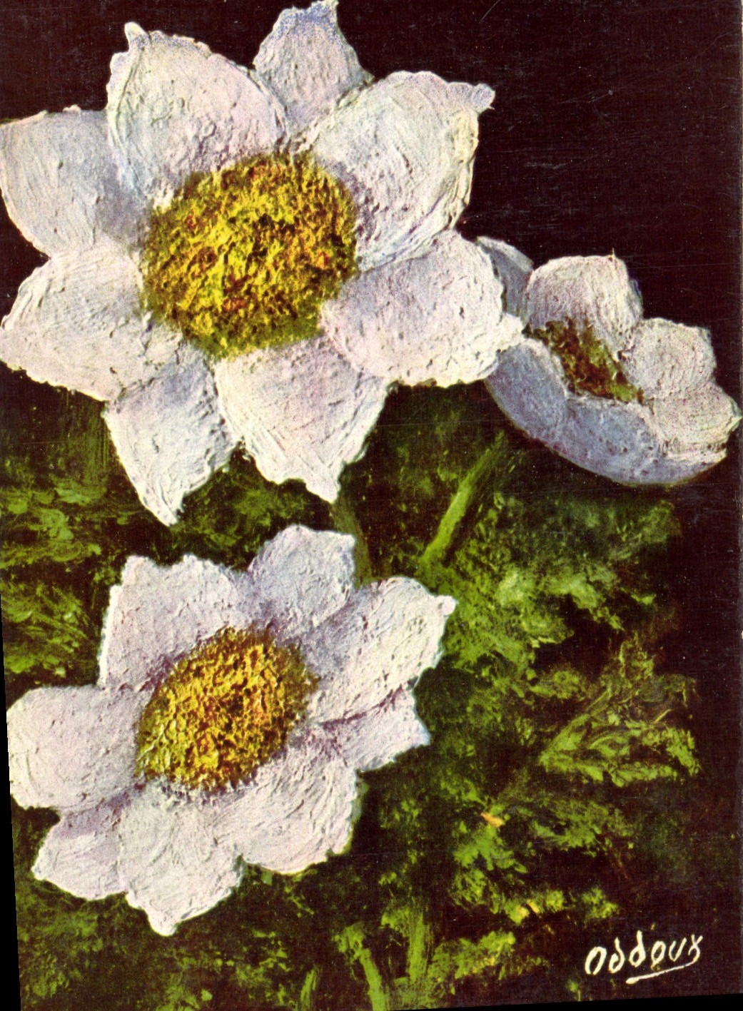 VINTAGE POSTCARD Flower Alpena Anemone