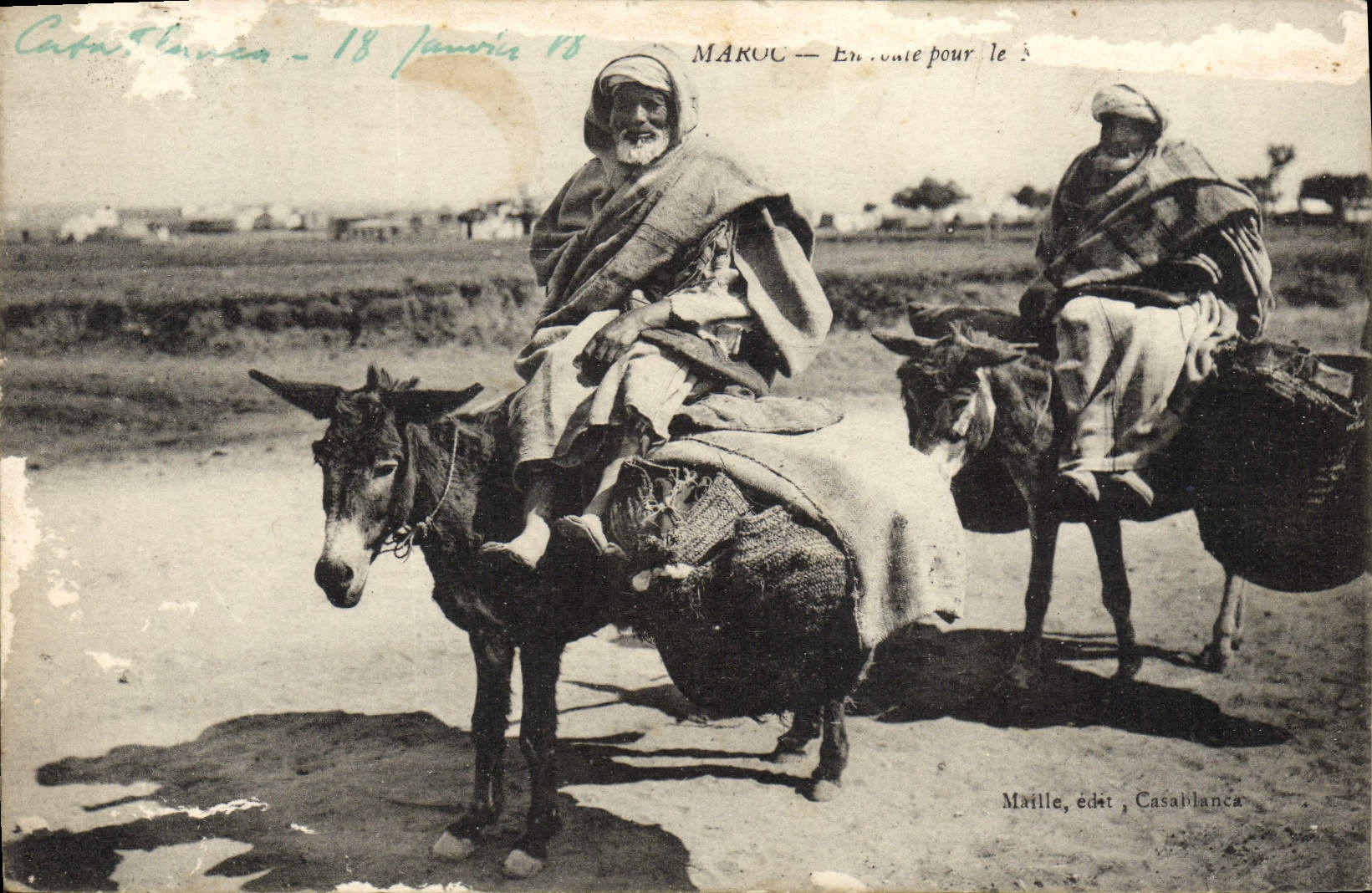 CPA Maroc Anes Mules