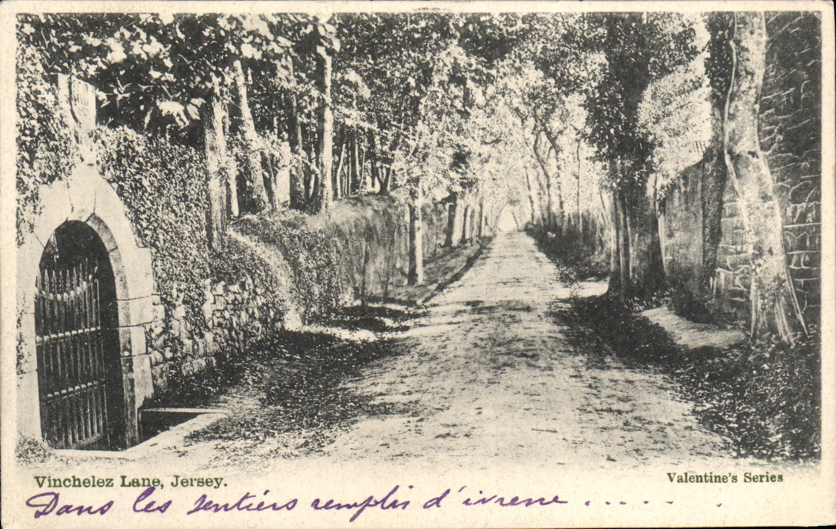 VINTAGE POSTCARD Vinchelez Lane Jersey