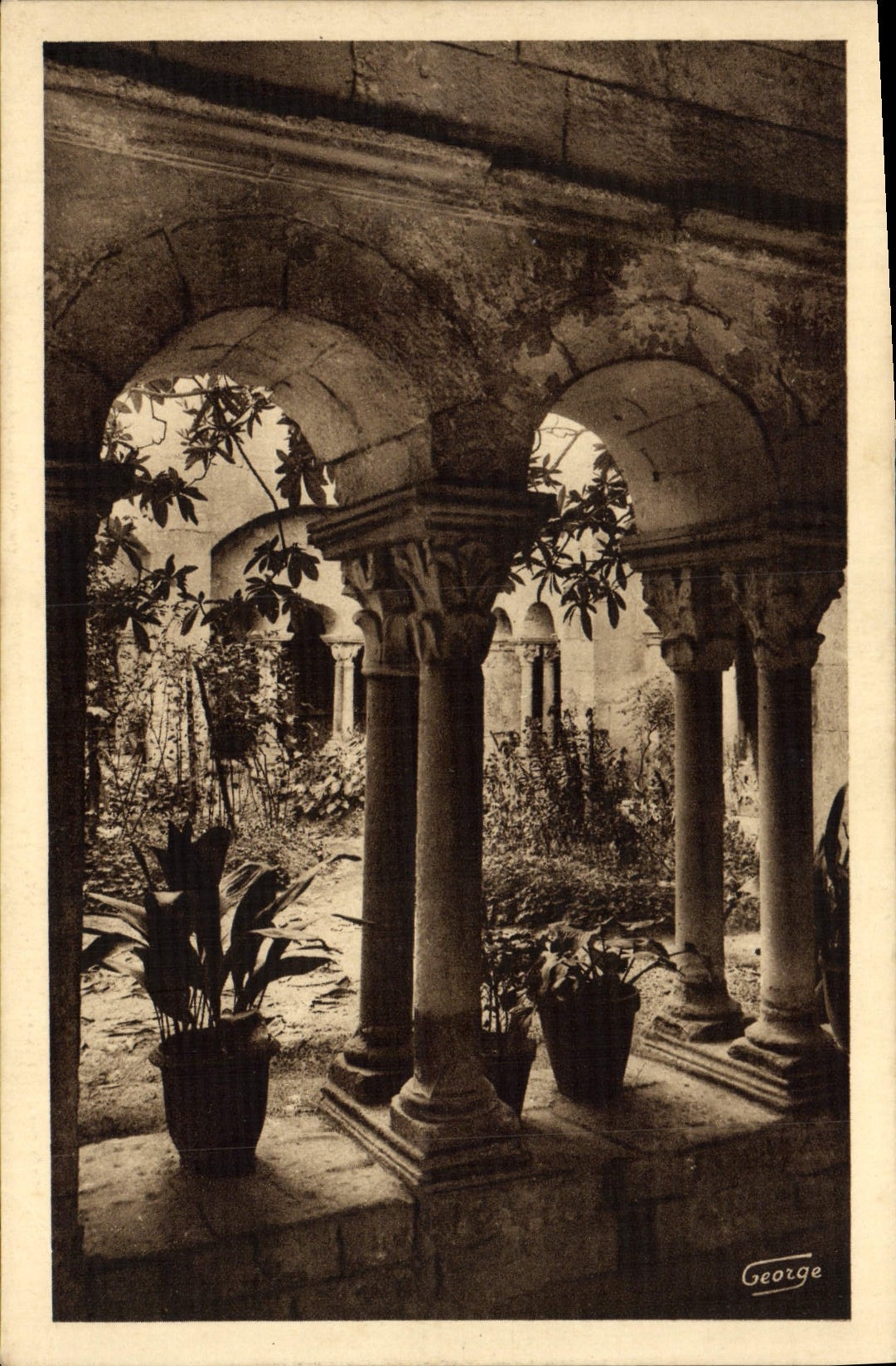 CPA Saint Remy de Provence Cloitre Saint Paul