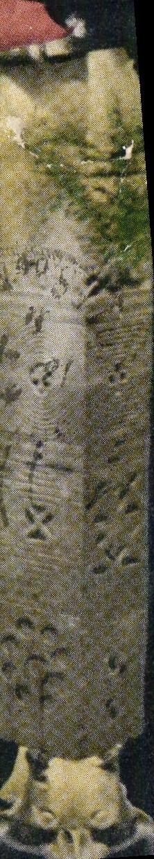 CPA I'Alcalo Des Bucranes Vu De nuit Paris Exposition coloniale 1931