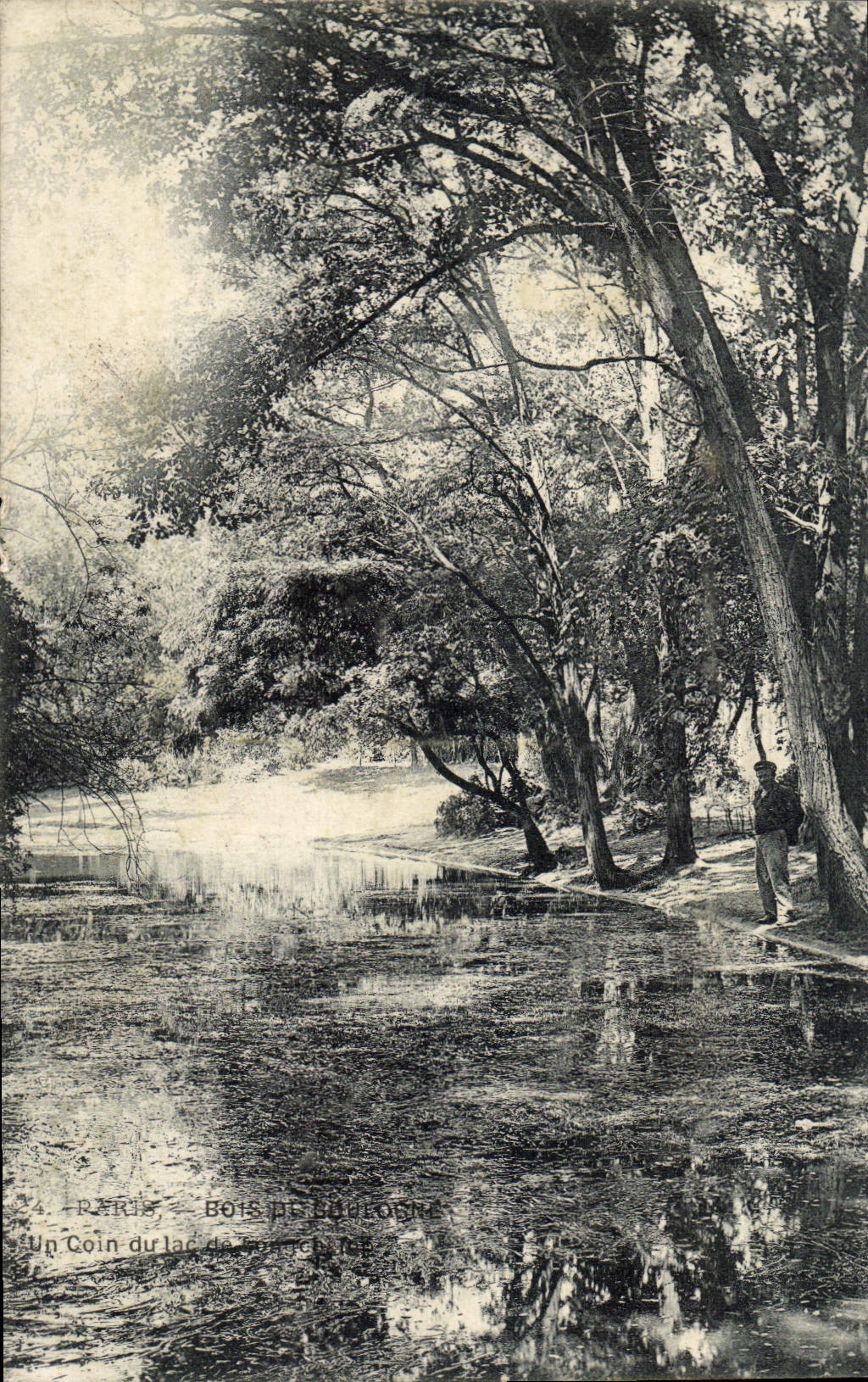 CPA Le Bois De Boulogne Un coin du lac Paris 