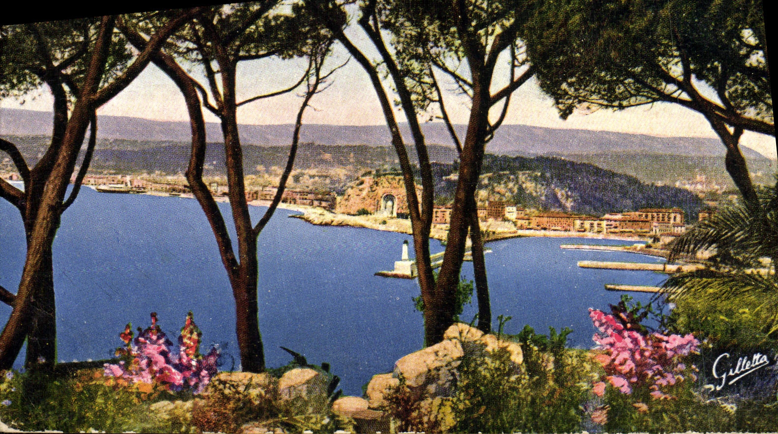 CPA Nice Vue Entre les Pins