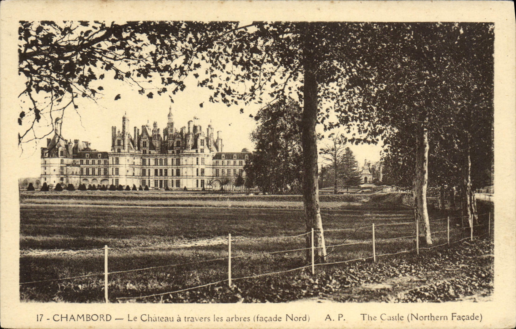 VINTAGE POSTCARD Castle of Chambord the Castle through the Trees