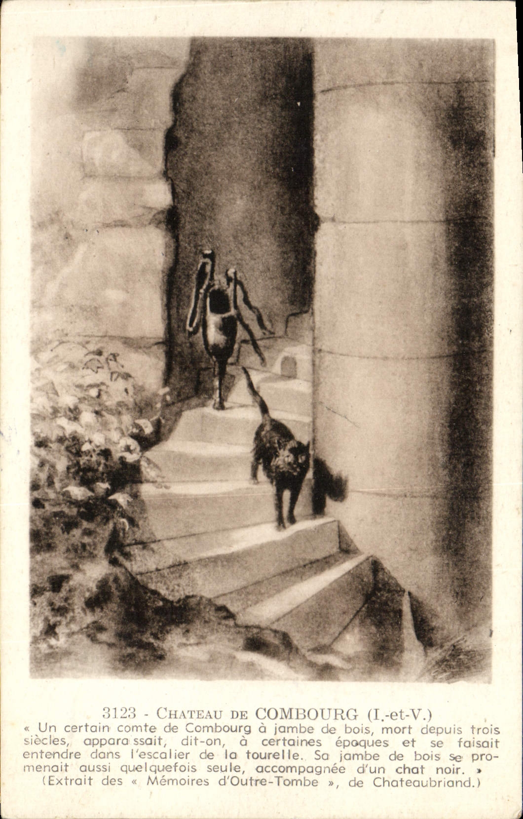 CPA Chateau de Chambord Chat