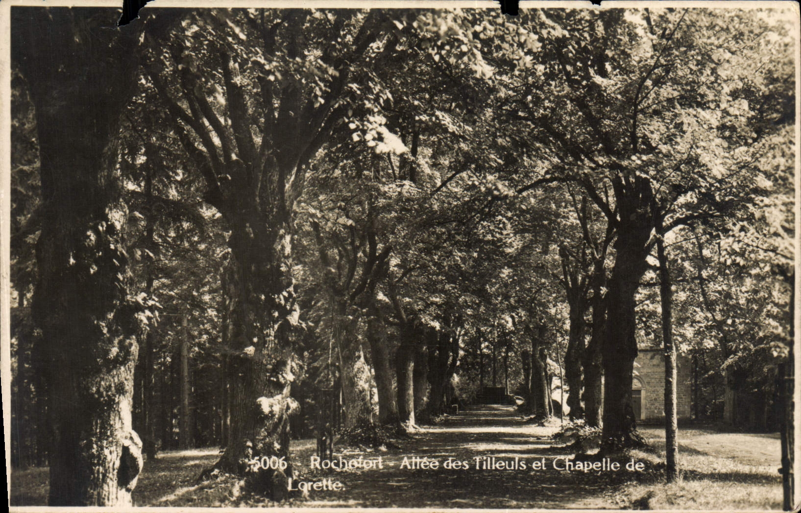 CPA Rochefort Allee des Tilleuls et Chapelle de Lorette