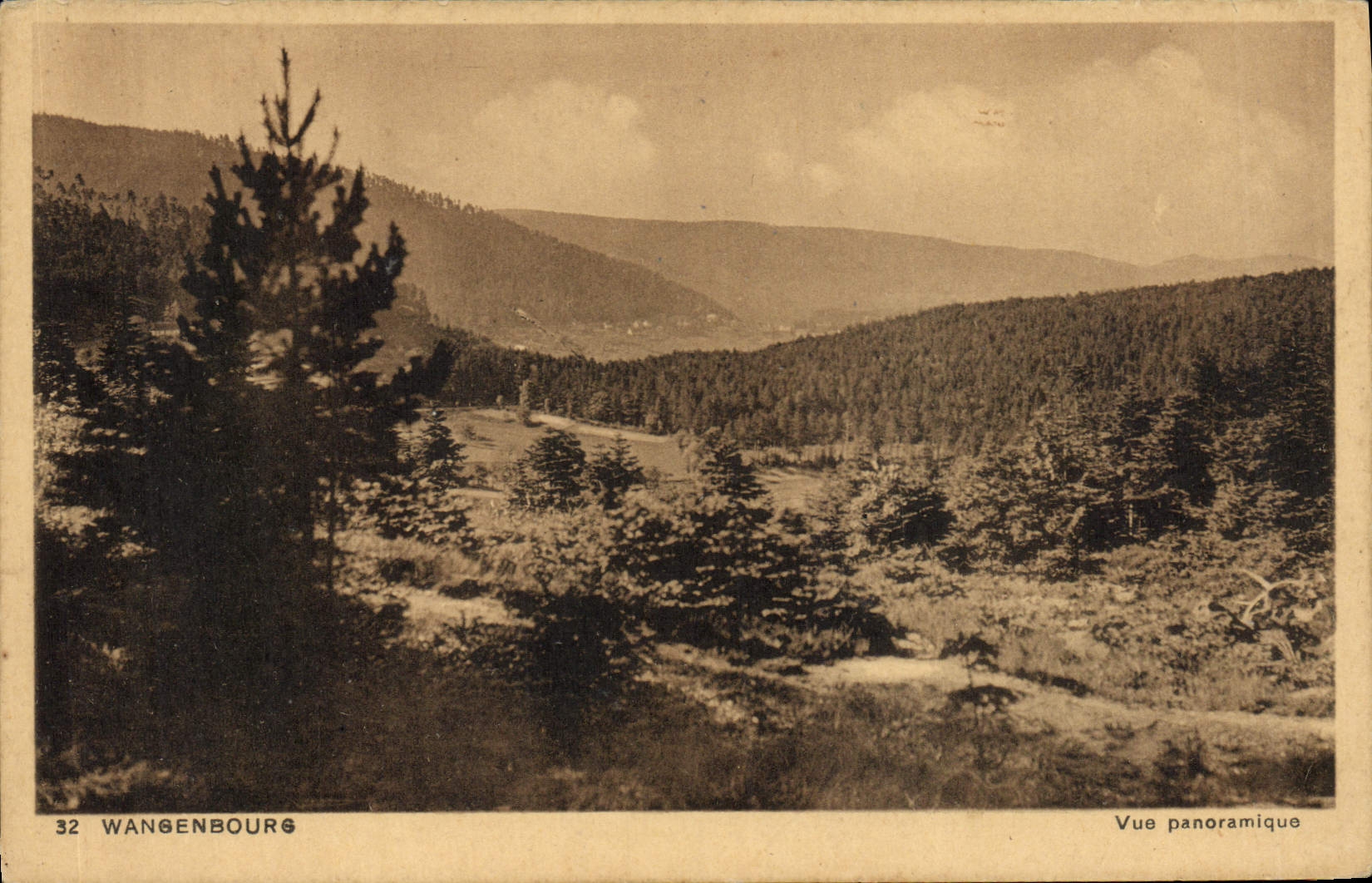 VINTAGE POSTCARD Wangenbourg Panoramic View