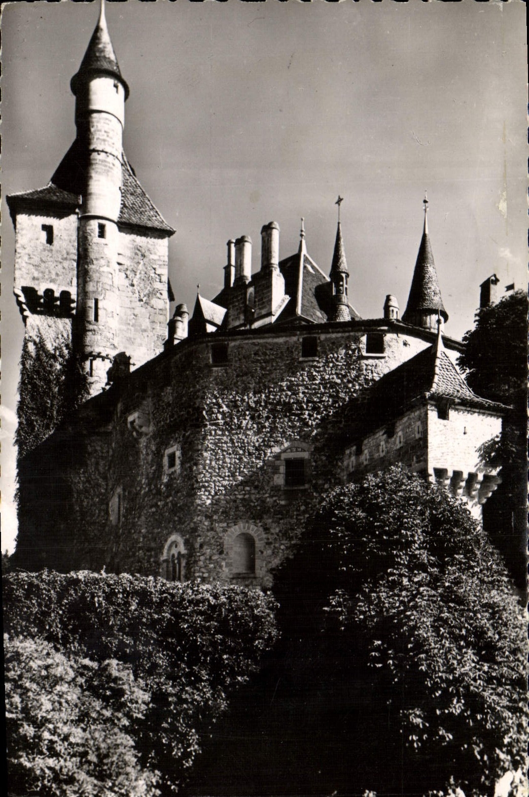 CPM Chateau de St Bernard De Menthon
