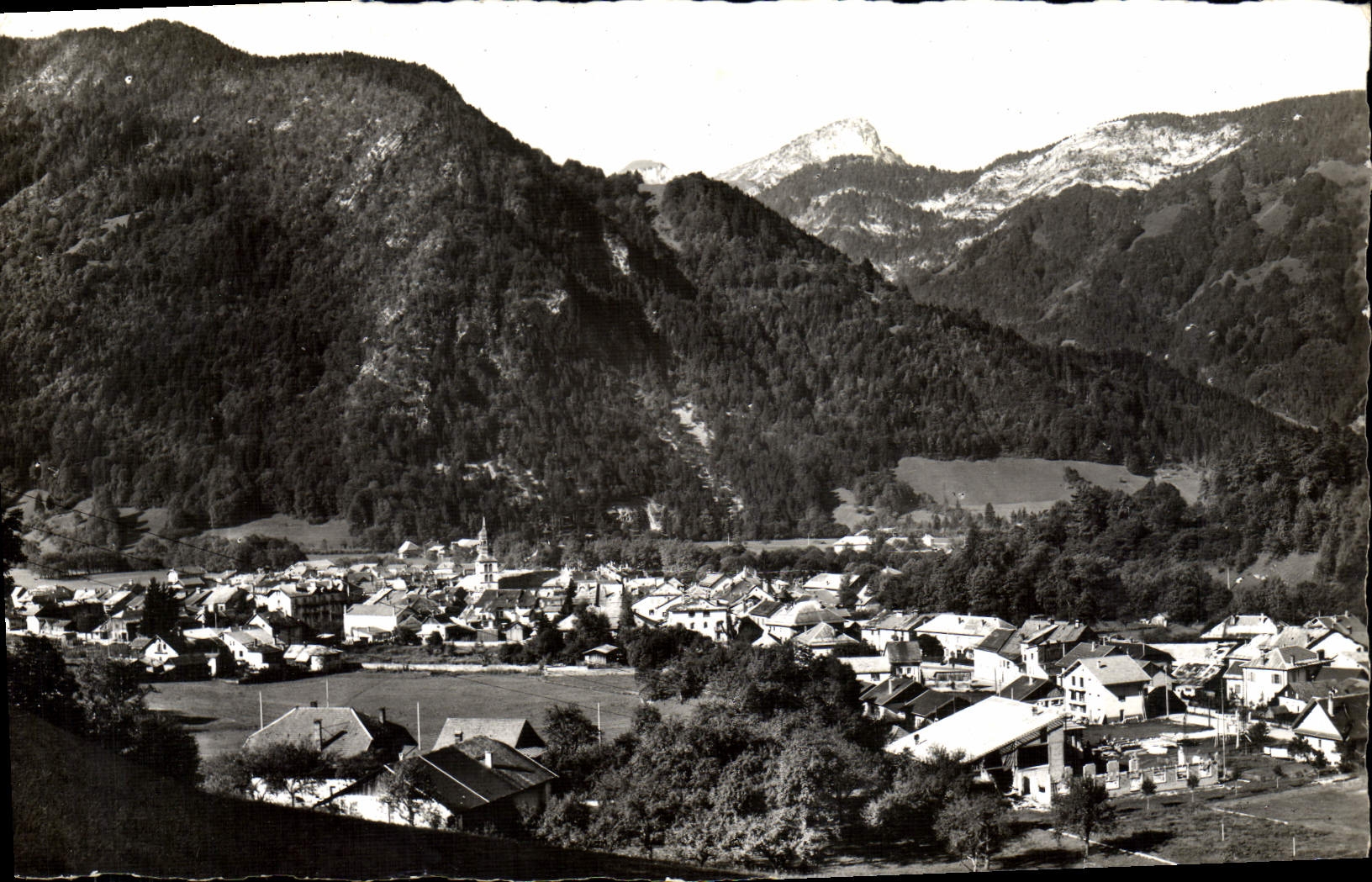 MODERN CARD Thones View Tooth of Cruet