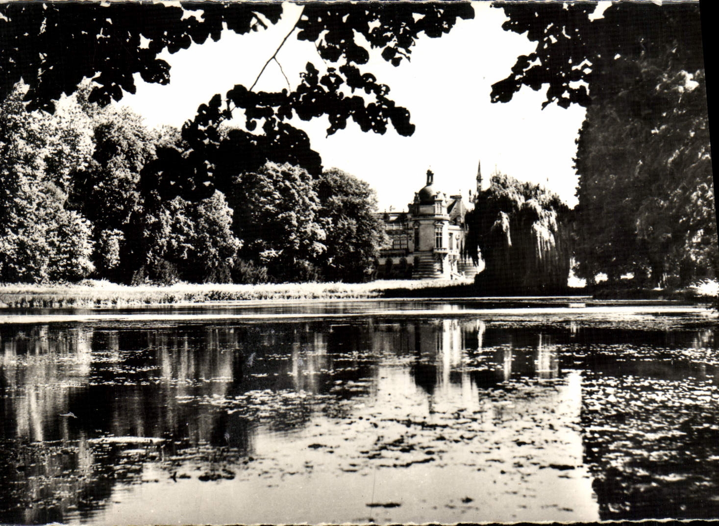 CPM Le Chateau de Chantilly Le Parc