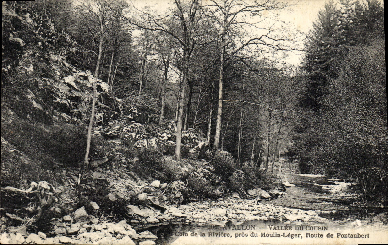 Valle de Avallon de la POSTAL de la VENDIMIA de la esquina del primo del río cerca del camino ligero del molino de Pontaubert