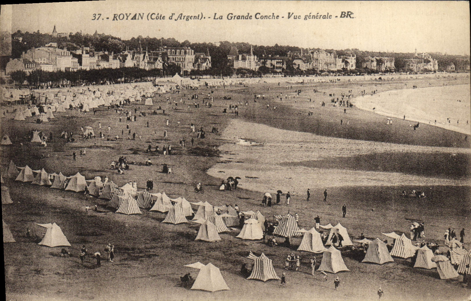 CPA Royan La Grande Conche Vue generale