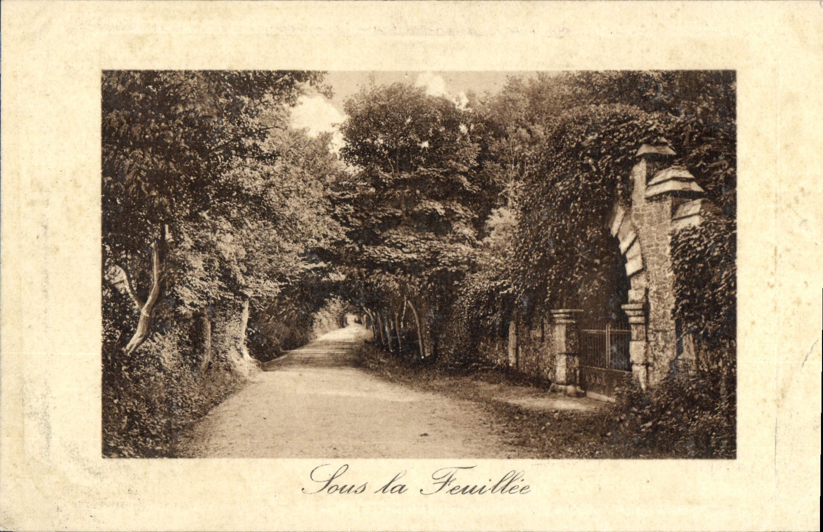 VINTAGE POSTCARD Under the feuillee