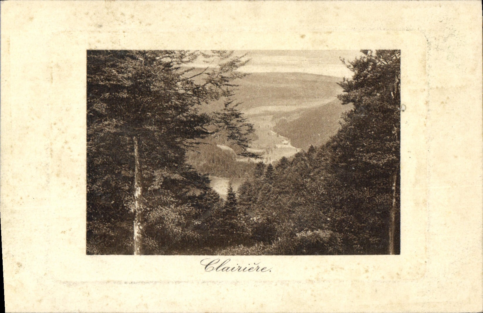 VINTAGE POSTCARD Clearing