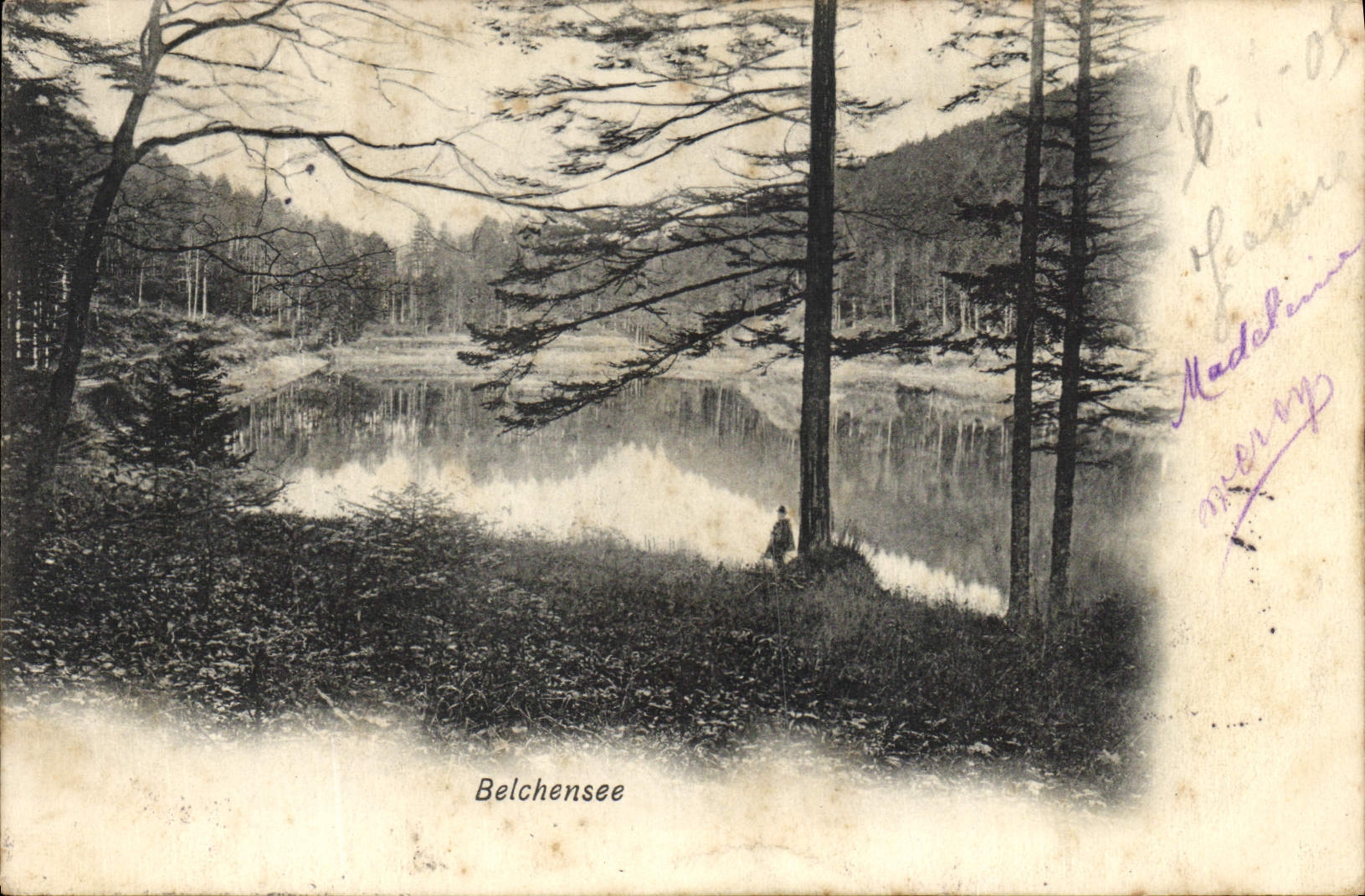 POSTAL Belchensee de la VENDIMIA