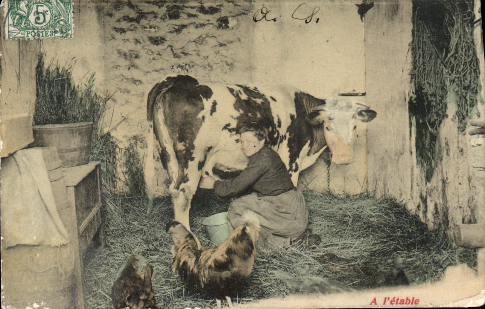 VINTAGE POSTCARD with the cattle shed Peasant Cow Hens Folklore