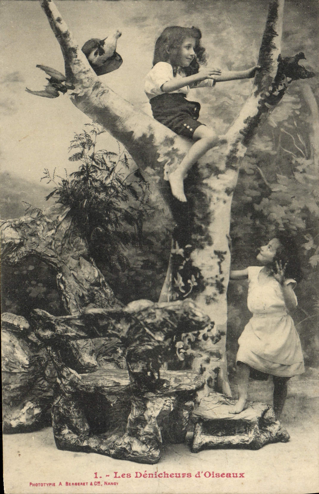 VINTAGE POSTCARD Fantasy Children denicheurs of birds