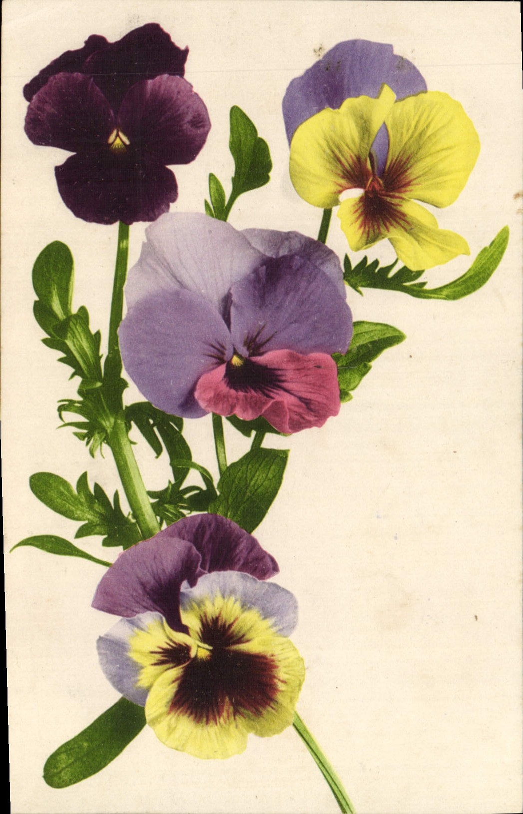 CPA Fantaisie Fleurs