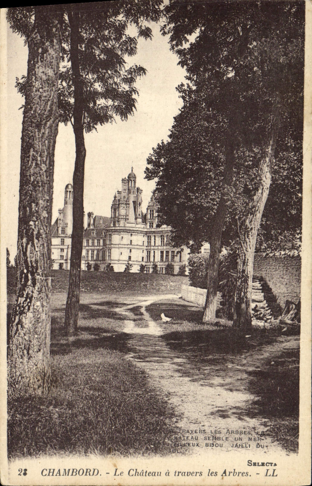 CPA Chambord Le Chateau A Travers Les Arbres