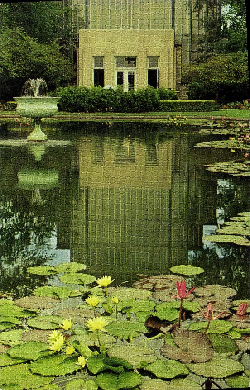 POSTAL MODERNA Fan-in al parque del bosque de St. Louis Missouri de la caja de joya