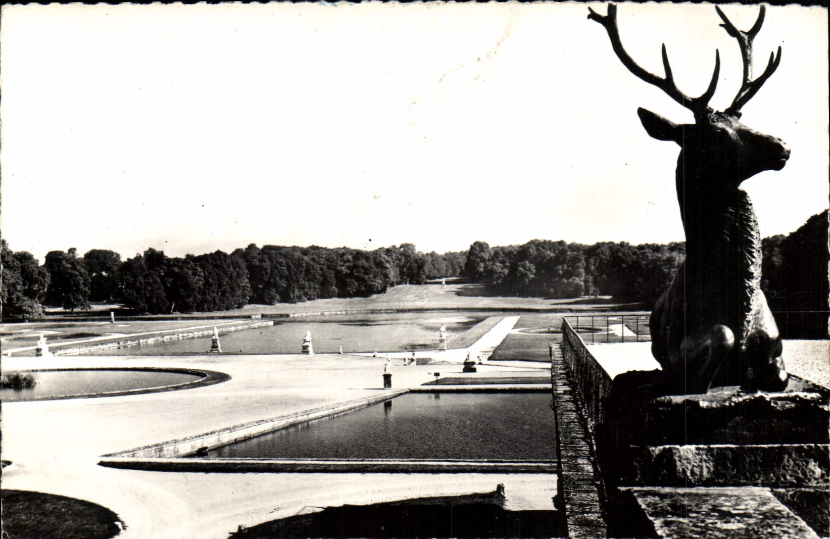 CPM Chateau de Chantilly Le parc et les pieces d'eau Cerf