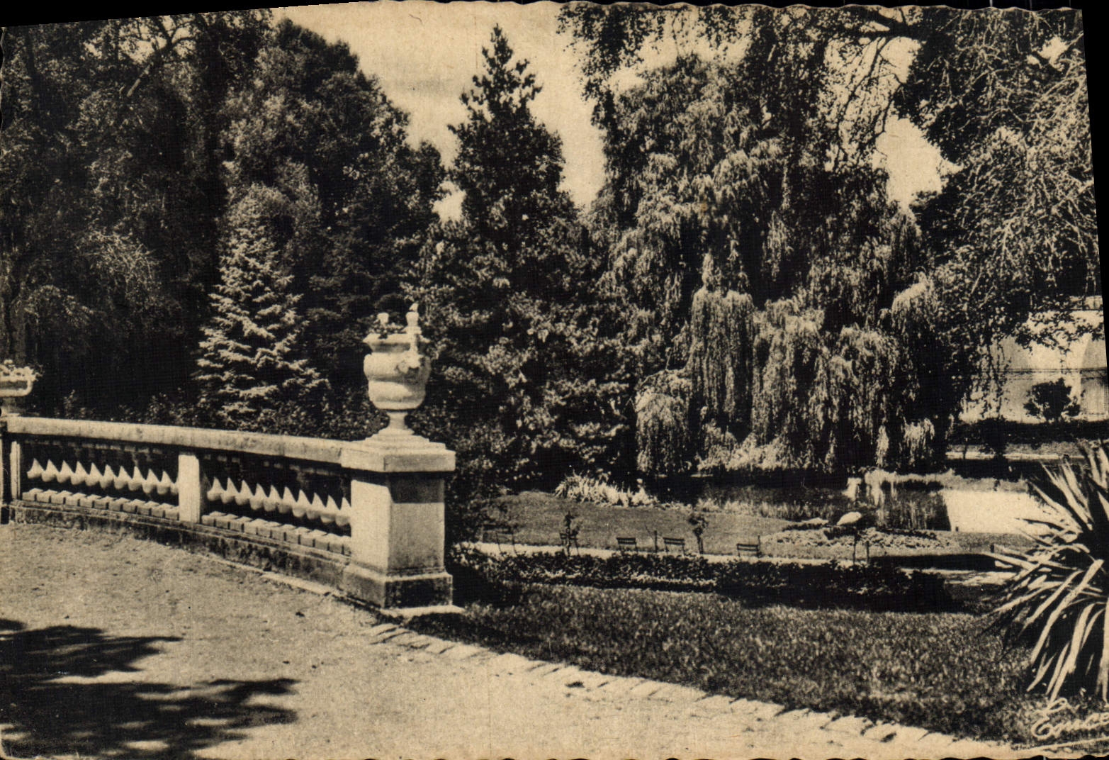 POSTAL MODERNA encoleriza una esquina del jardín botánico
