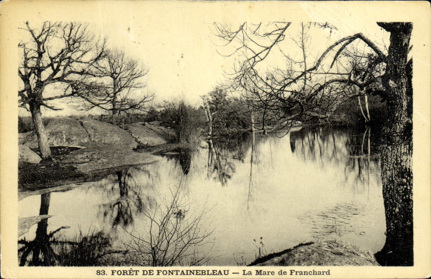 VINTAGE POSTCARD Drill De Fontainebleau the Pond of Franchard