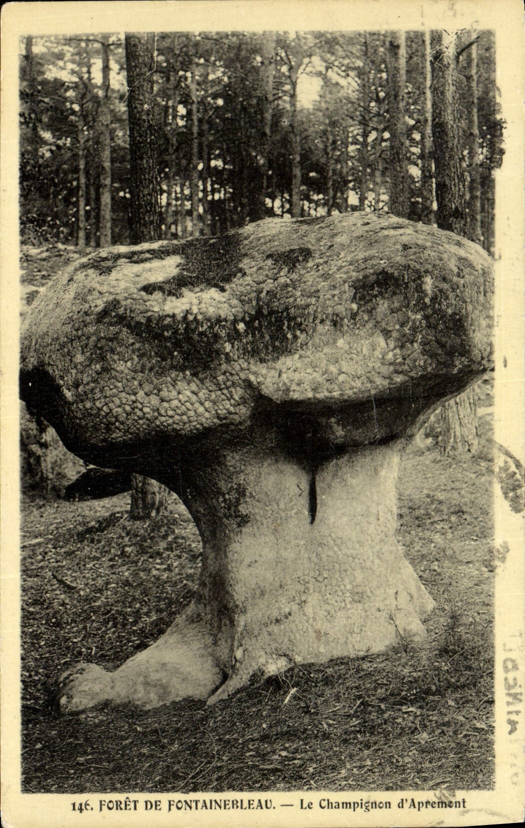 CPA Foret De Fontainerleau Le Champignon d'Aprement