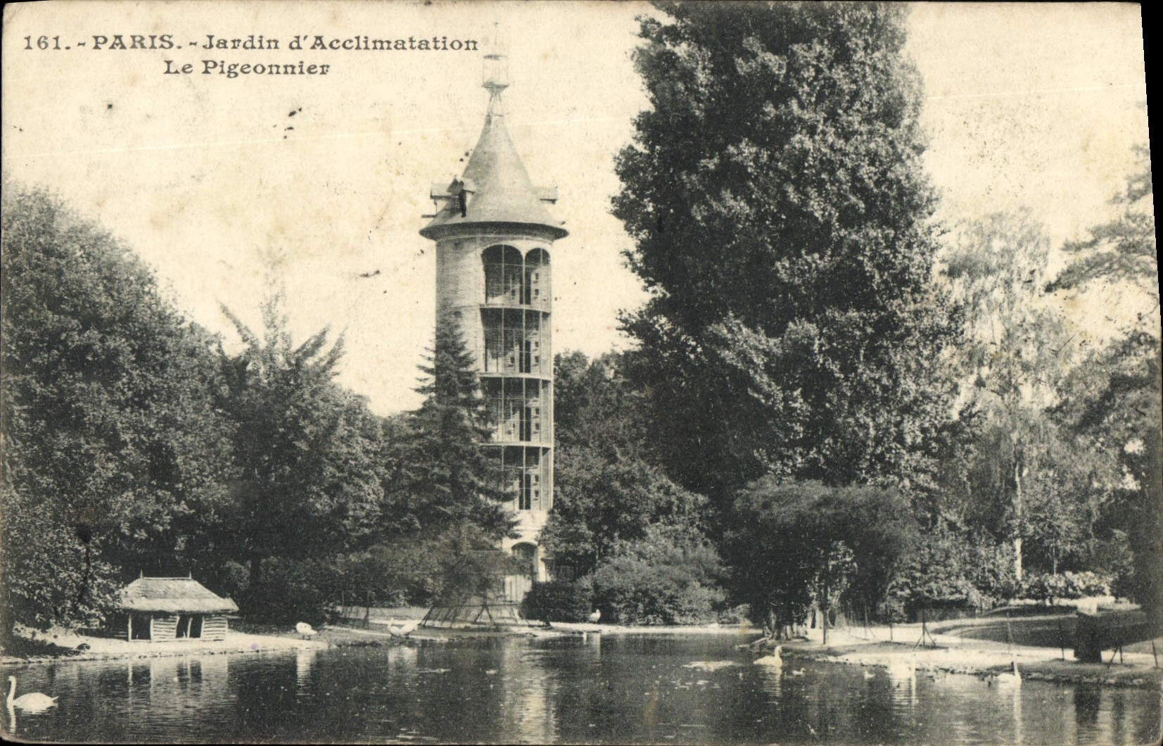 VINTAGE POSTCARD Paris Zoological gardens the pigeon one