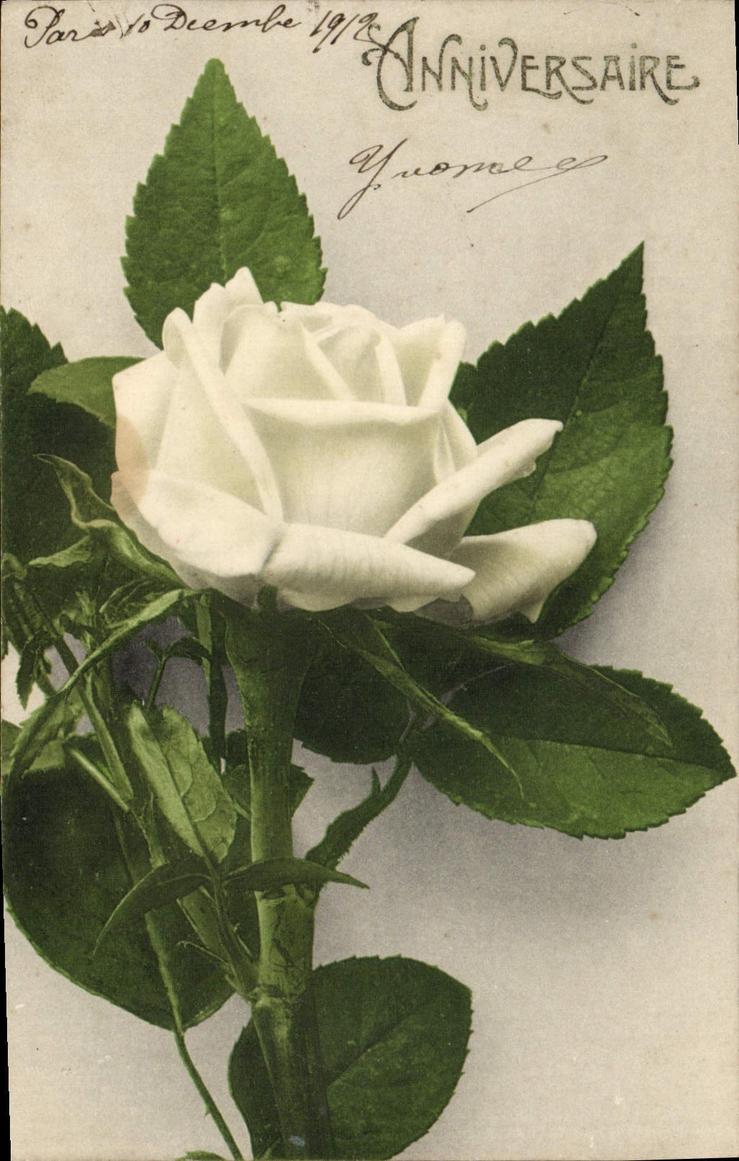 CPA Anniversaire Fleur Rose