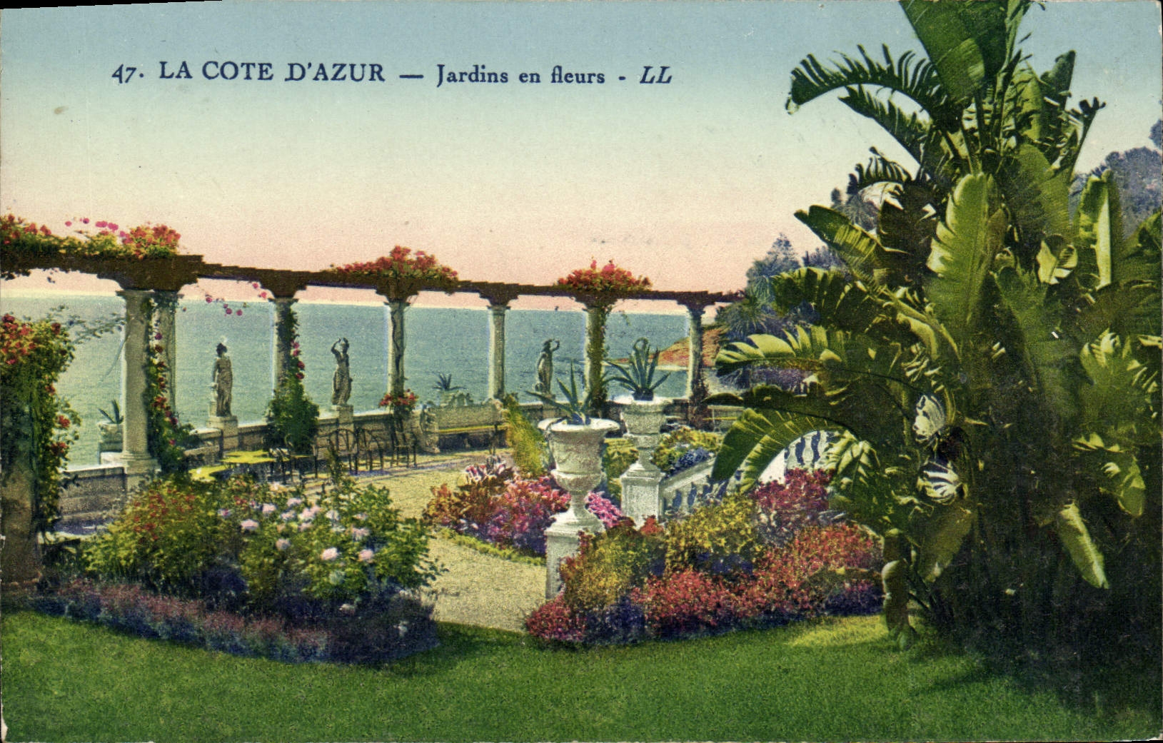 CPA La Cote D'Azur Jardins en Fleurs
