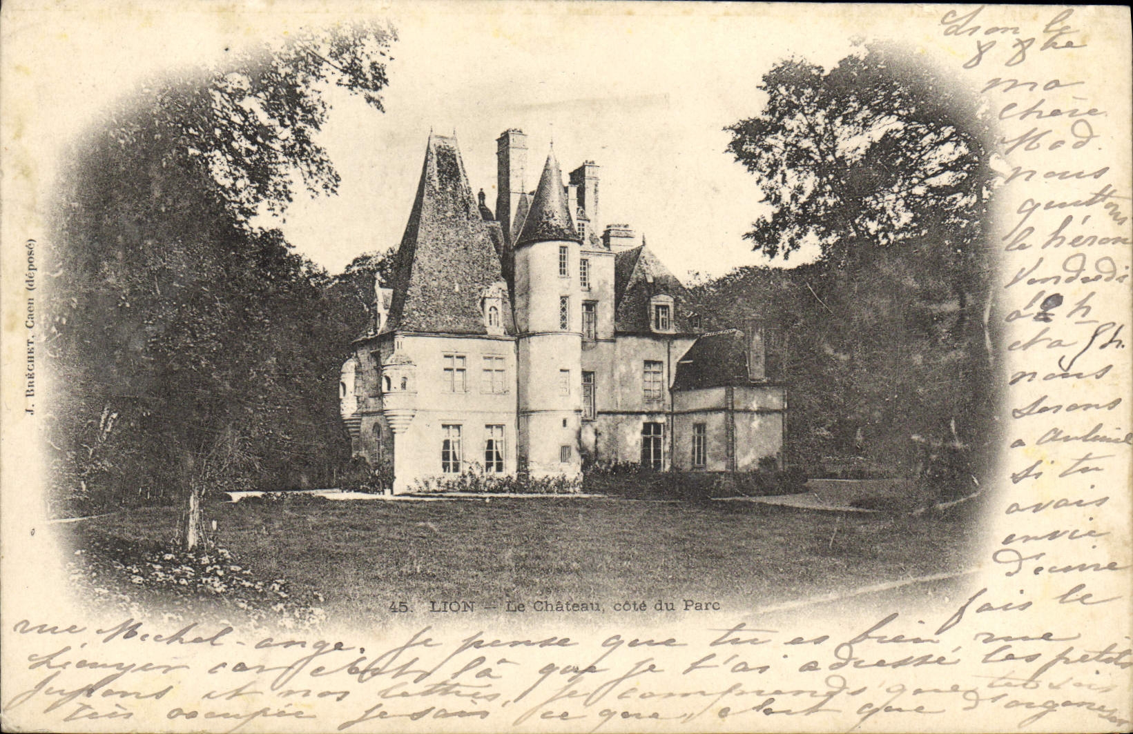 VINTAGE POSTCARD Lion the Castle Dimensions Park