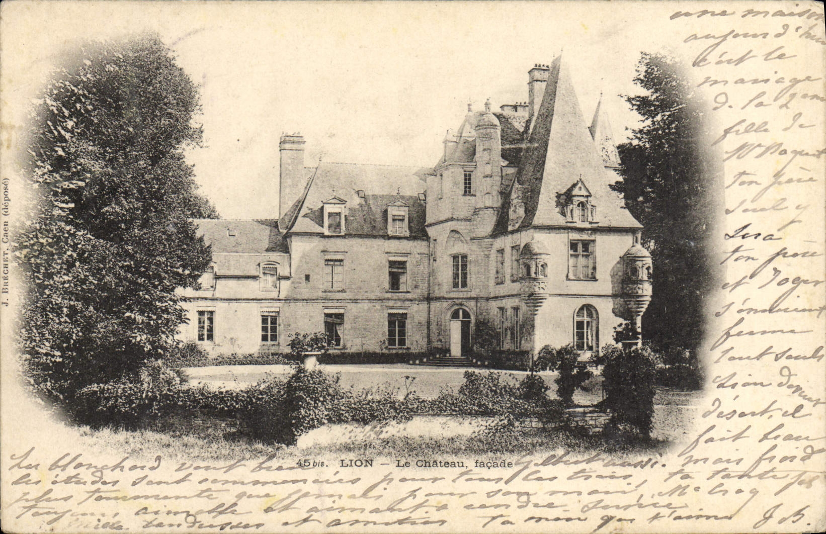 VINTAGE POSTCARD Lion the Castle Frontage