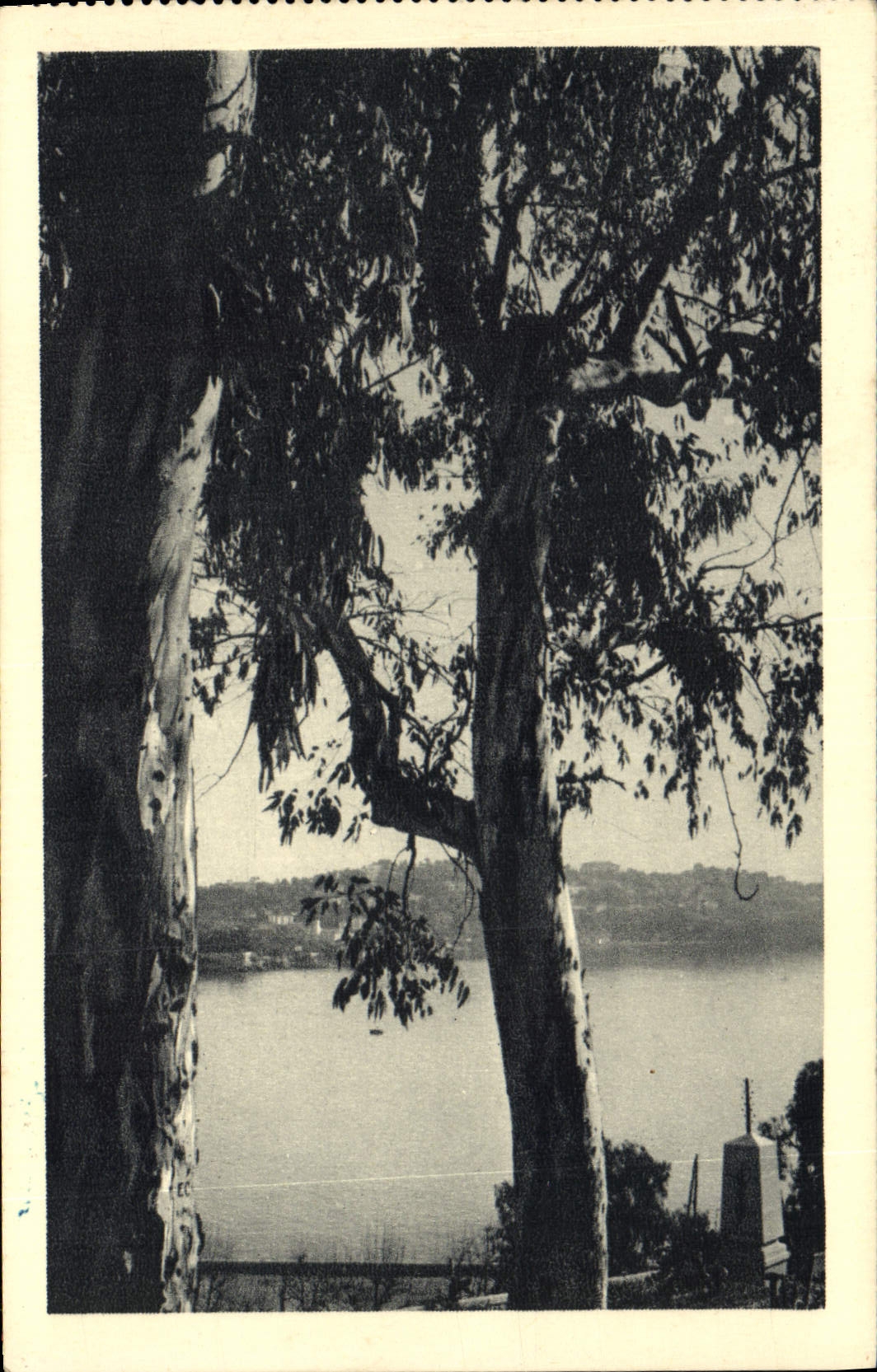 VINTAGE POSTCARD Rostrenen