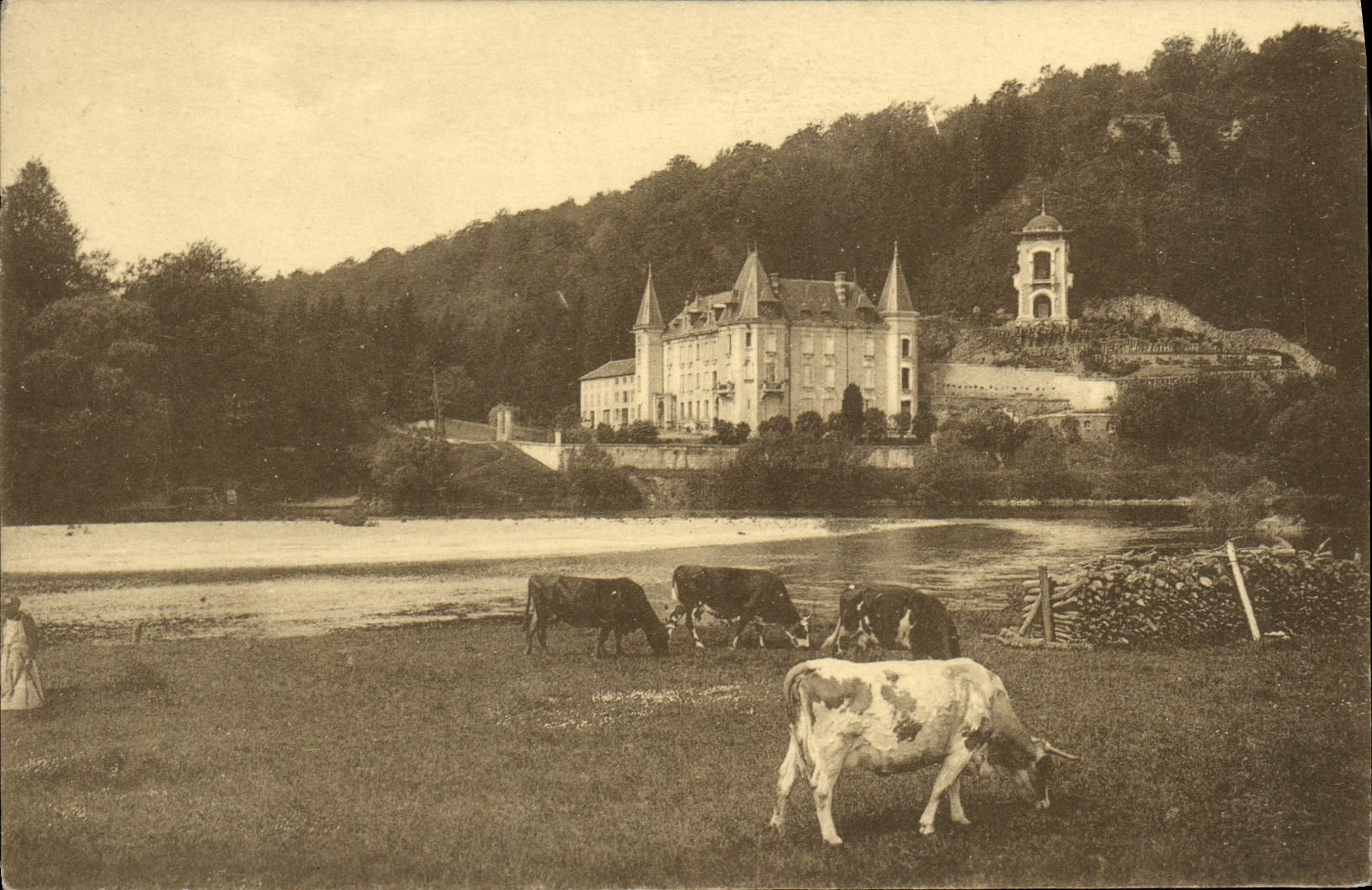 VINTAGE POSTCARD Castle and cows