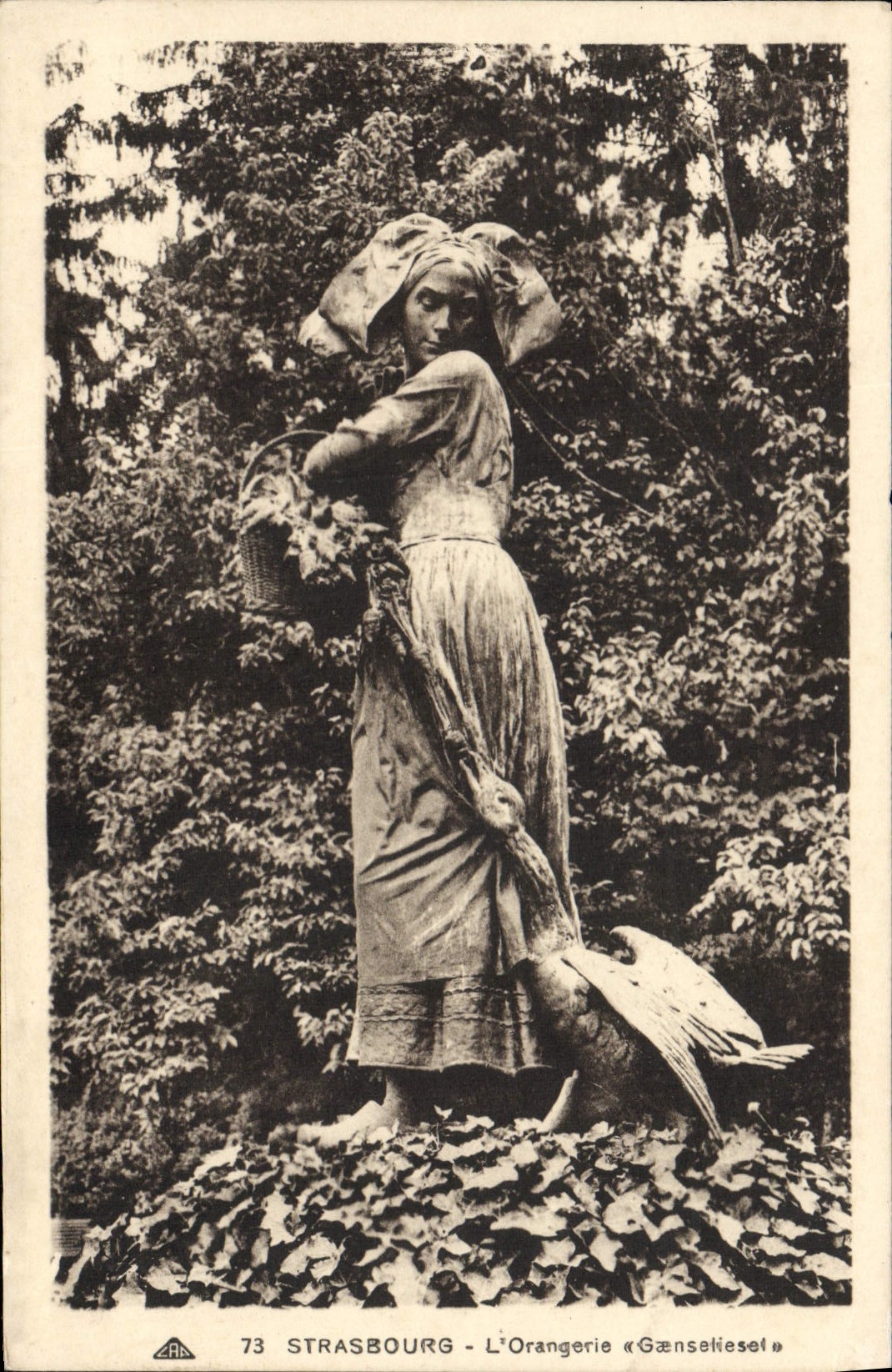 POSTAL Estrasburgo de la VENDIMIA la cigüeña del naranjal