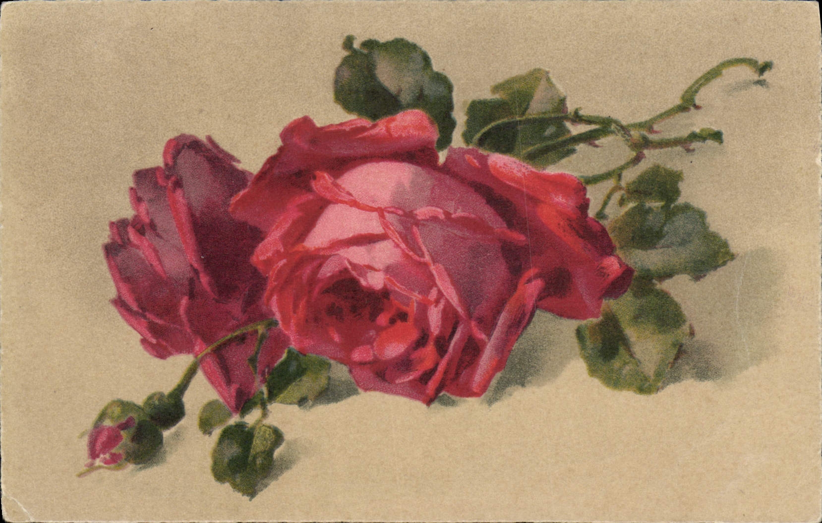 CPA Fantaisie Fleurs Roses