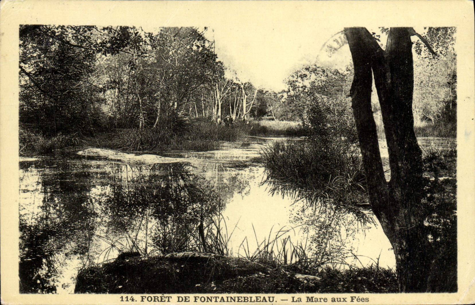 CPA Foret De Fontainebleau La Mare Aux Fees