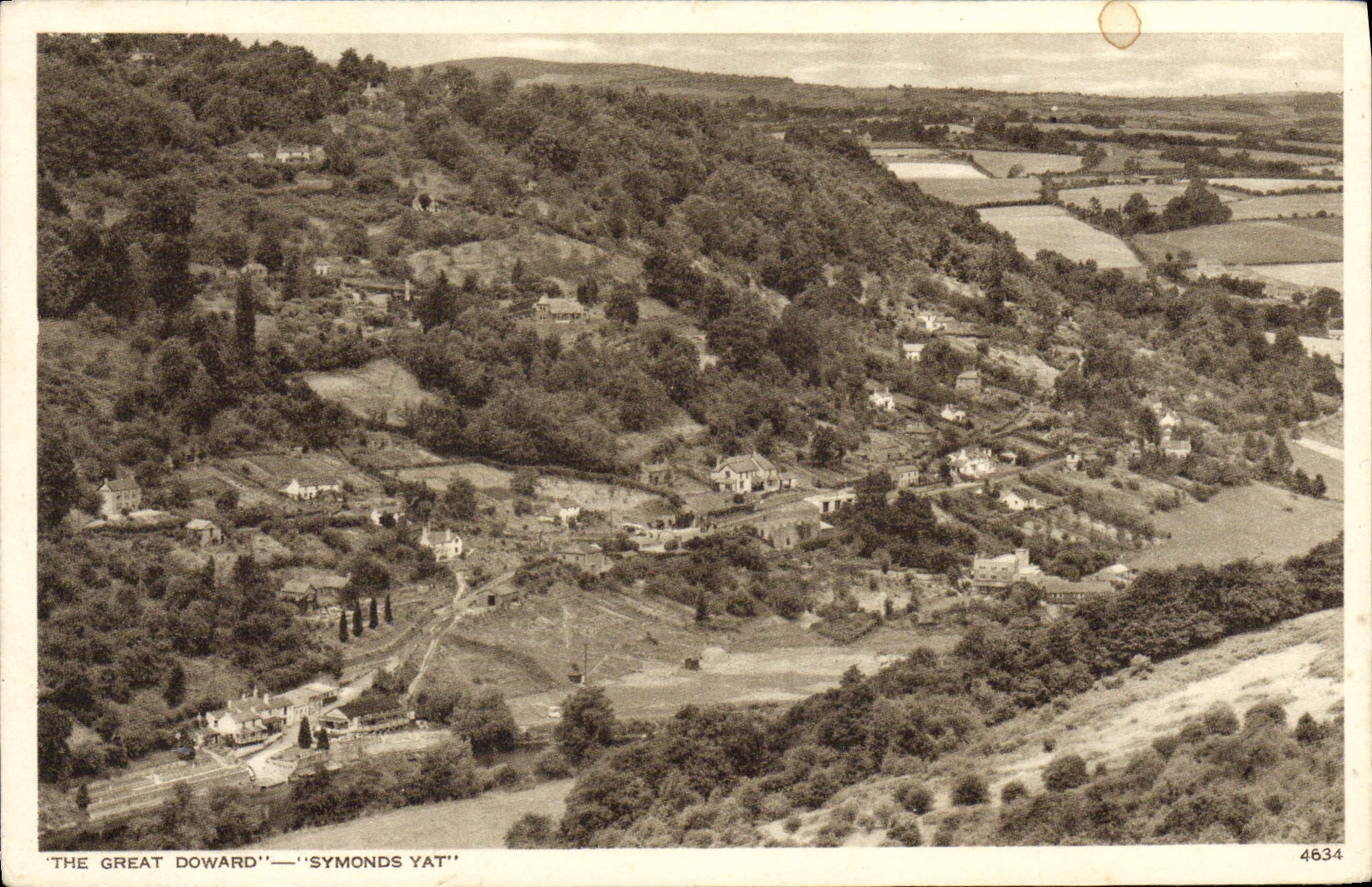 VINTAGE POSTCARD The Great Doward Symonds Yat