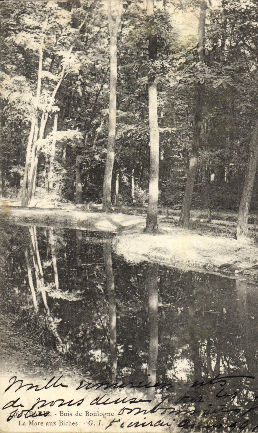 VINTAGE POSTCARD Paris Bois de Boulogne the Pond with the Hinds
