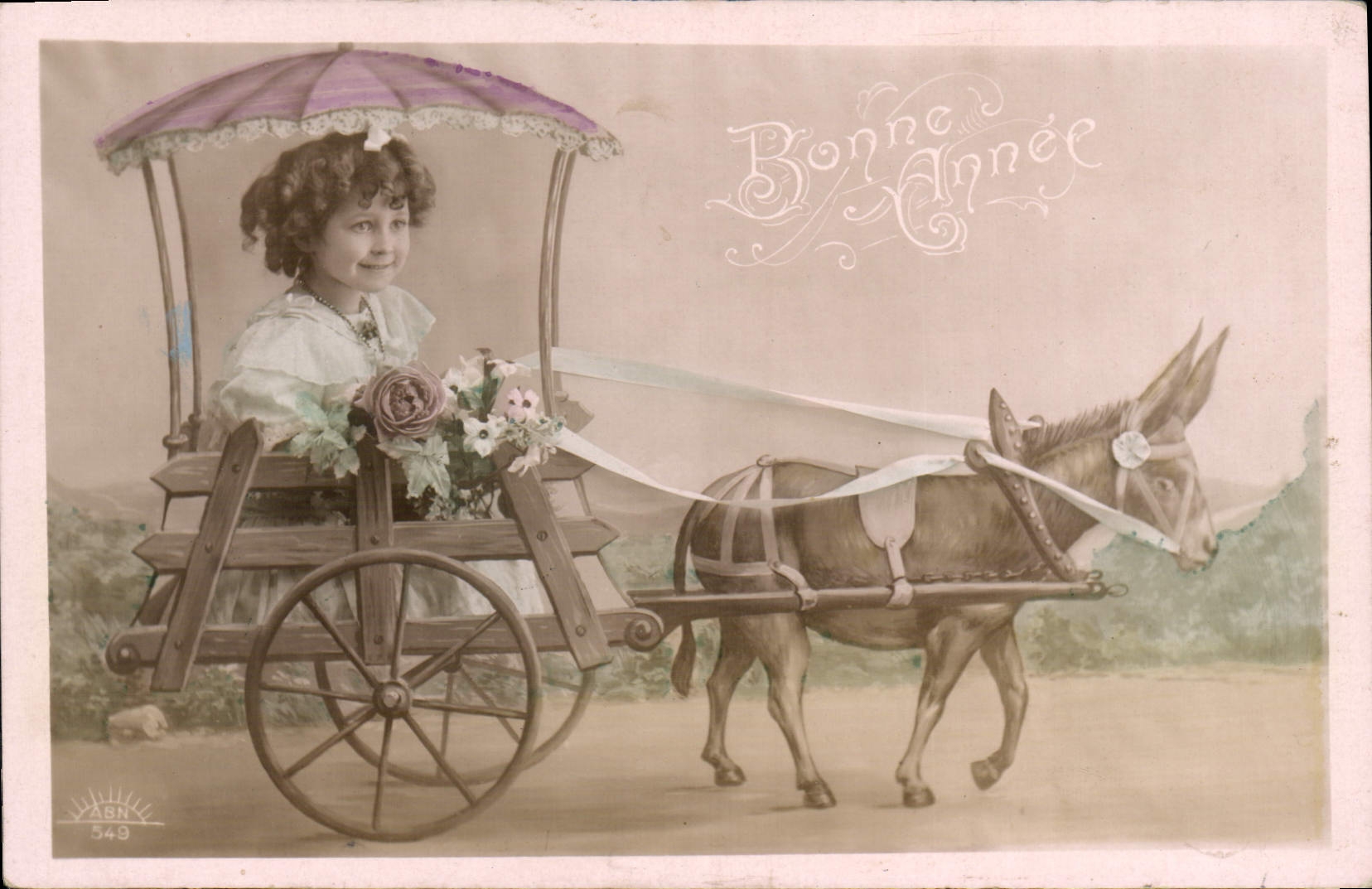 VINTAGE POSTCARD Happy New Year Child Ass Mule