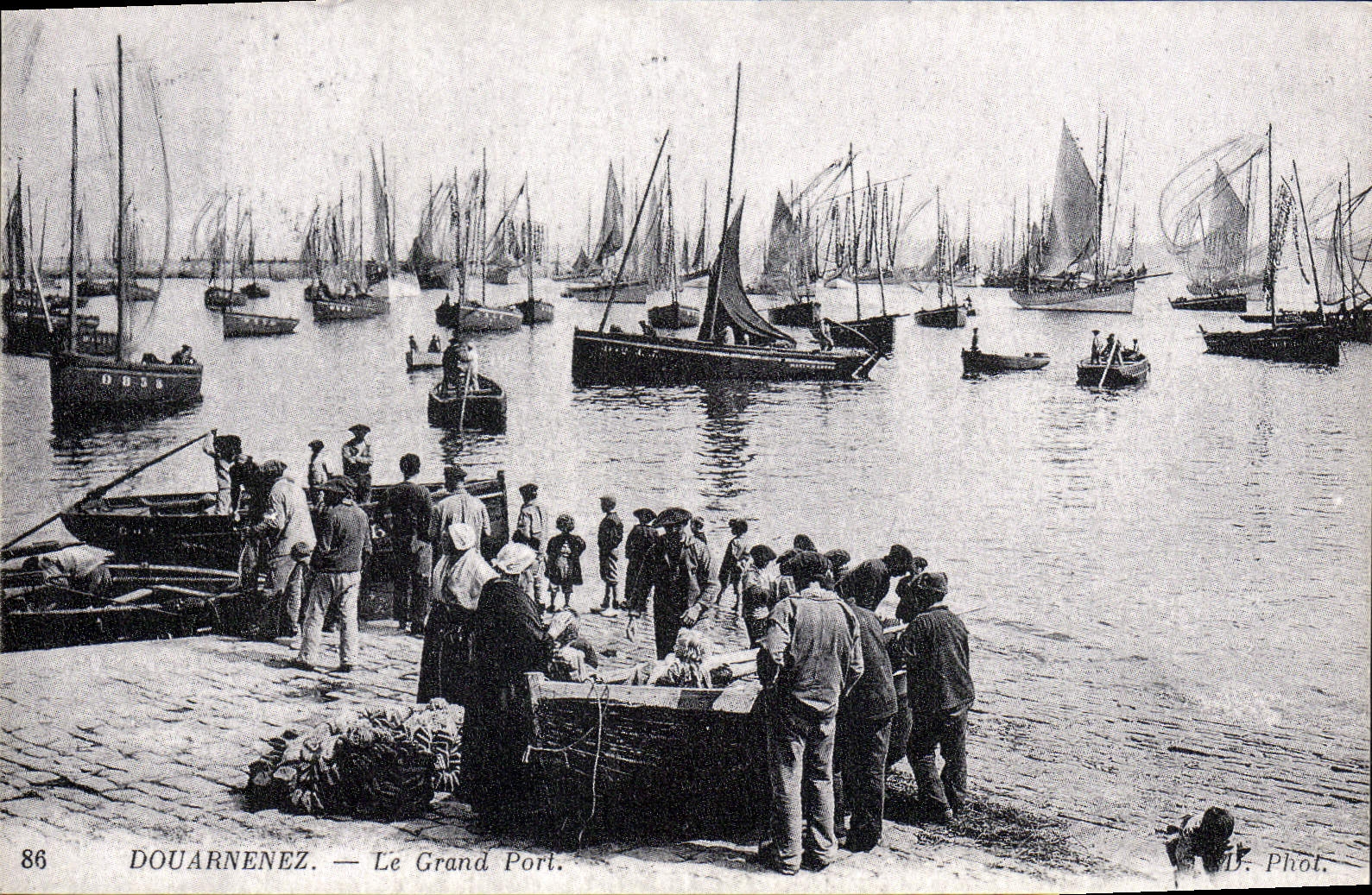 REPRO Douarnenez the Large Port Boats